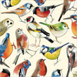 Woodmansterne Birds Blank Card - Old Railway Line Garden Centre