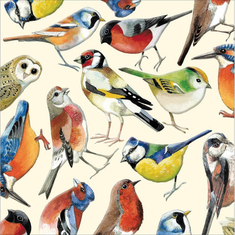 Woodmansterne Birds Blank Card - Old Railway Line Garden Centre