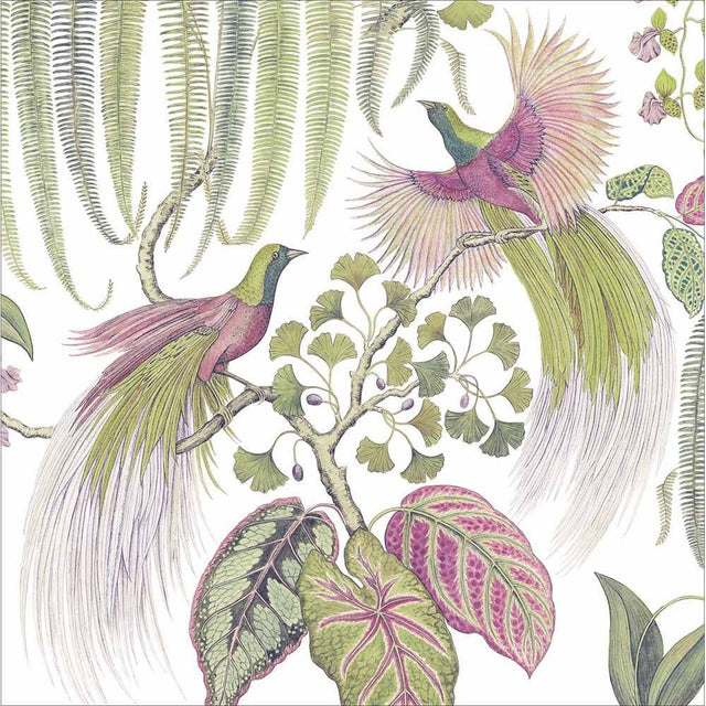 Woodmansterne Birds of Paradise Art Blank Card - Old Railway Line Garden Centre