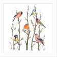 Woodmansterne British Garden Birds Blank Card - Old Railway Line Garden Centre