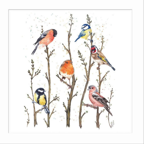 Woodmansterne British Garden Birds Blank Card - Old Railway Line Garden Centre