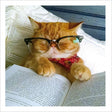 Woodmansterne Cat Bookworm Blank Card - Old Railway Line Garden Centre