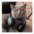 Woodmansterne Cat with Headphones Blank Card - Old Railway Line Garden Centre