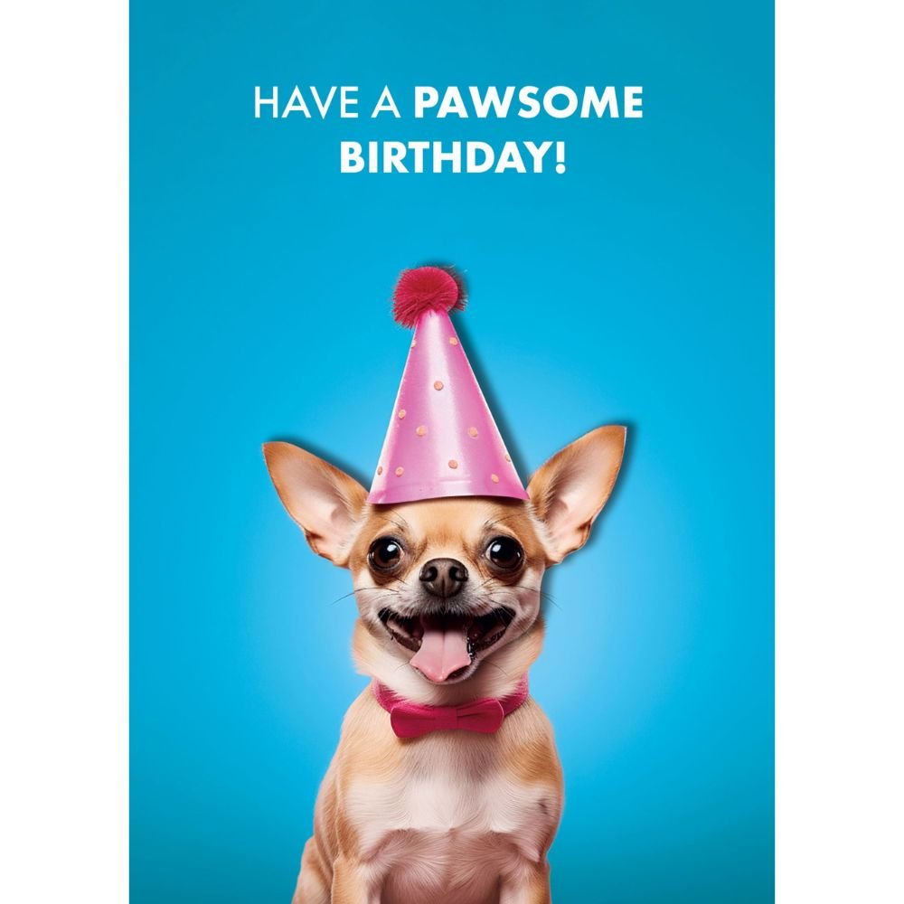 Woodmansterne Chihuahua Party Hat Birthday Card - Old Railway Line Garden Centre