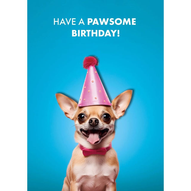 Woodmansterne Chihuahua Party Hat Birthday Card - Old Railway Line Garden Centre