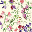 Woodmansterne Colourful Sweatpeas Blank Card - Old Railway Line Garden Centre