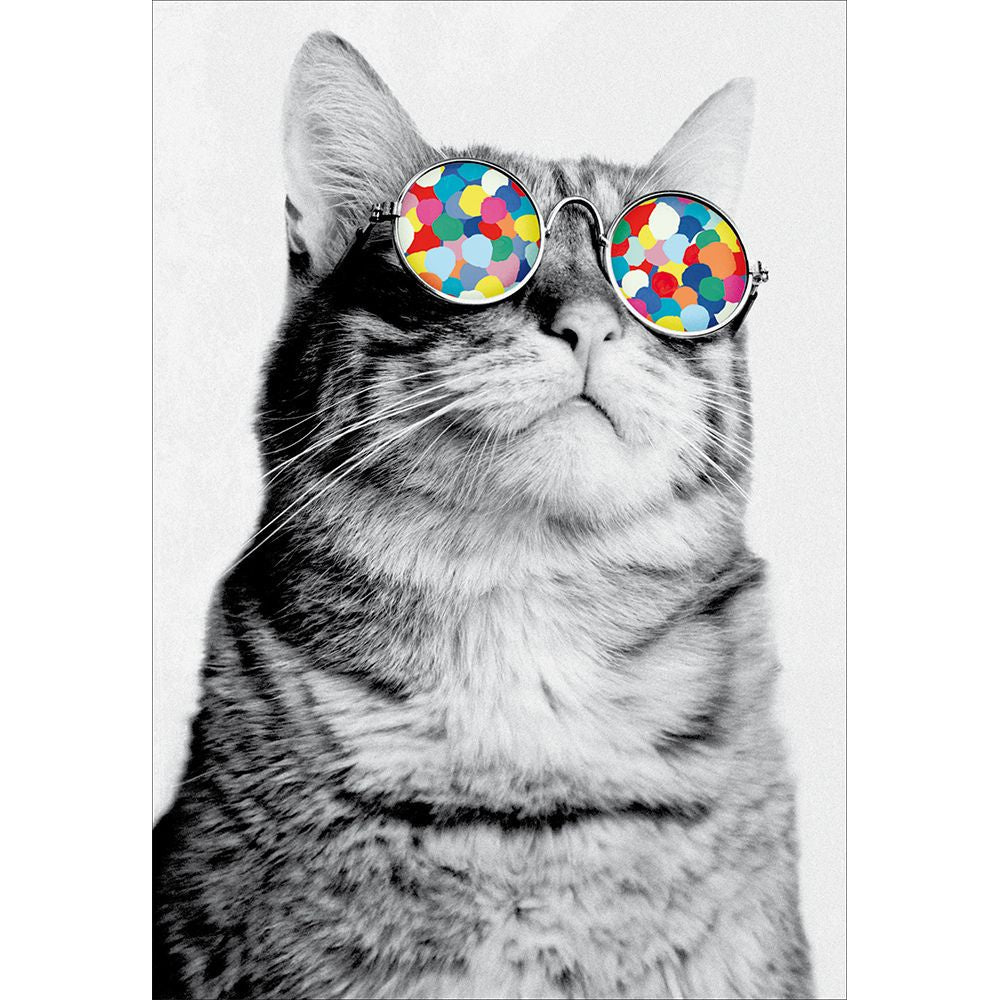 Woodmansterne Cool Cat Funny Blank Card - Old Railway Line Garden Centre