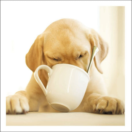Woodmansterne Dog Coffee Time Blank Card - Old Railway Line Garden Centre