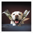 Woodmansterne Dog with Champagne Blank Card - Old Railway Line Garden Centre