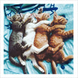 Woodmansterne Dreamland Cuddling Cats Blank Card - Old Railway Line Garden Centre