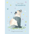 Woodmansterne Grandson Blue Panda New Baby Card - Old Railway Line Garden Centre