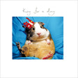 Woodmansterne King for a Day Guinea Pig Blank Card - Old Railway Line Garden Centre