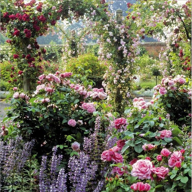 Woodmansterne Mottisfont Abbey Blank Card - Old Railway Line Garden Centre