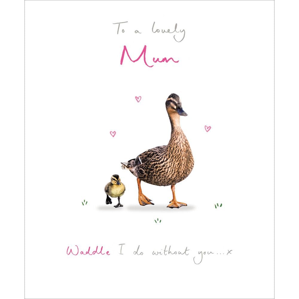 Woodmansterne Mum Ducks Waddle Thank You Card - Old Railway Line Garden Centre