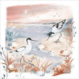 Woodmansterne Pied Avocets Blank Card - Old Railway Line Garden Centre
