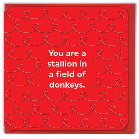 Woodmansterne Stallion in a Field of Donkeys Valentine's Day Card - Old Railway Line Garden Centre