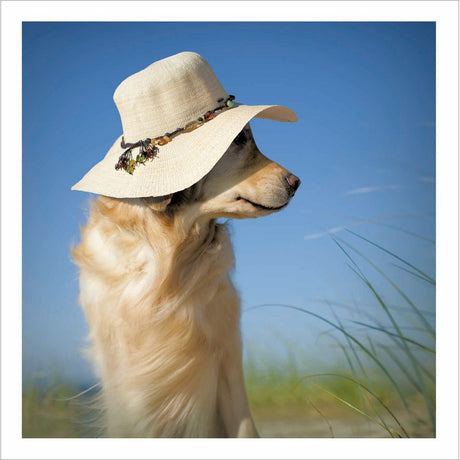 Woodmansterne Sun Hat Beach Dog Blank Card - Old Railway Line Garden Centre