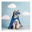 Woodmansterne Super Cat Blank Card - Old Railway Line Garden Centre