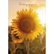 Woodmansterne Thinking of You Sunflower Blank Card - Old Railway Line Garden Centre