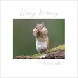 Woodmansterne What Cake? Squirrel Blank Card - Old Railway Line Garden Centre