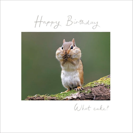 Woodmansterne What Cake? Squirrel Blank Card - Old Railway Line Garden Centre