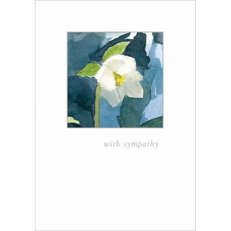 Woodmansterne White Hellebore with Sympathy Card - Old Railway Line Garden Centre