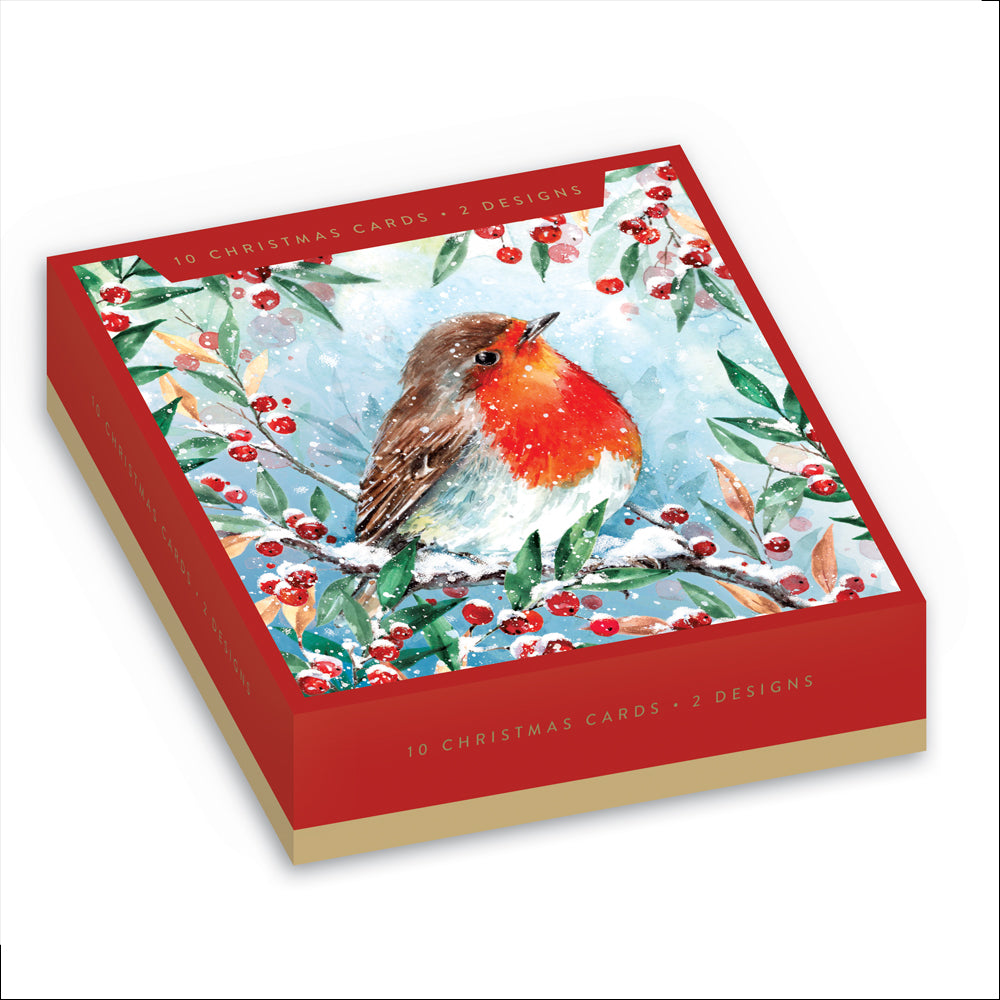Woodmansterne Winter Robin Boxed Christmas Cards - (Pack of 10)