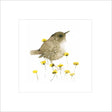 Woodmansterne Wren Bird Blank Card - Old Railway Line Garden Centre