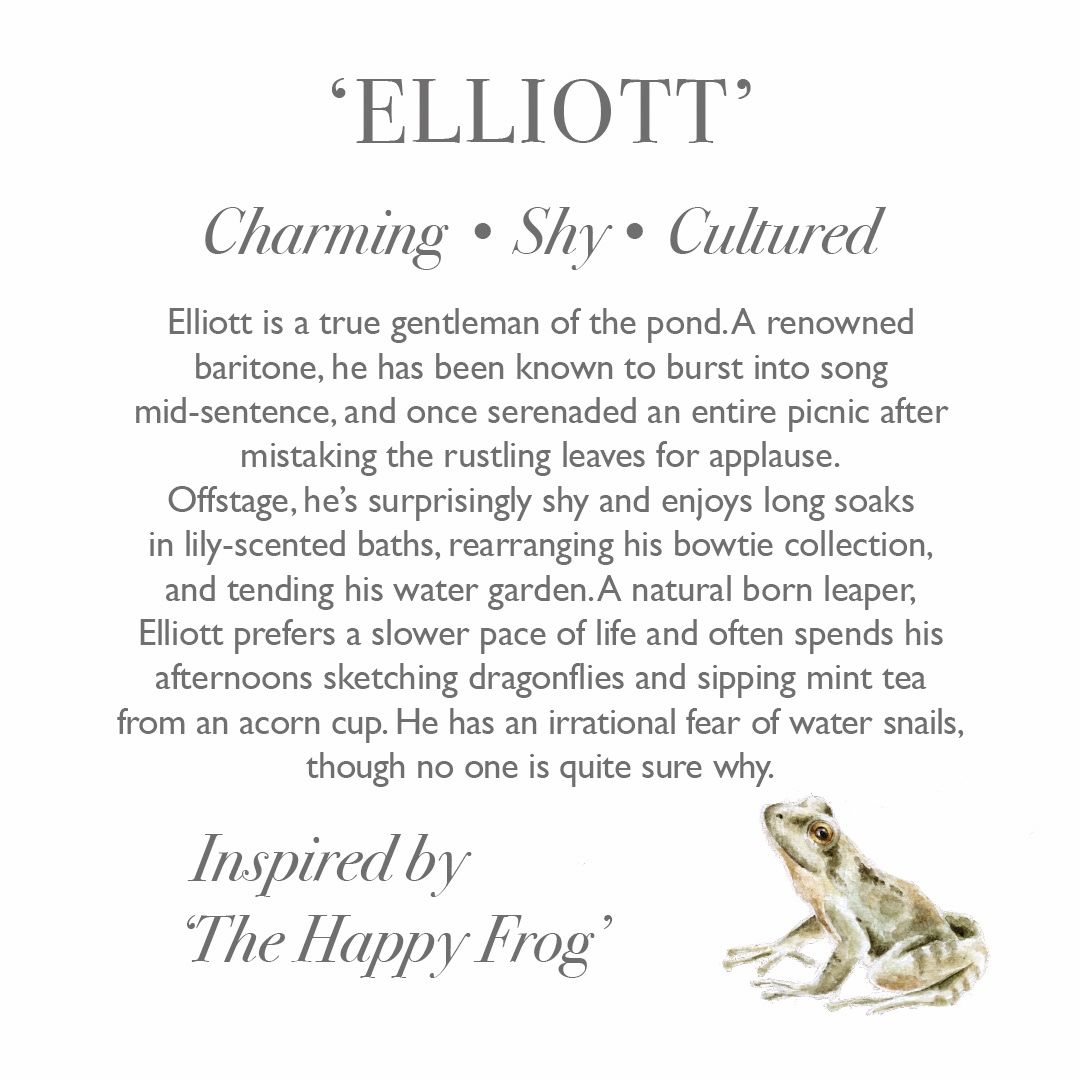 Wrendale 18.5cm 'Elliott' Frog Character Plush