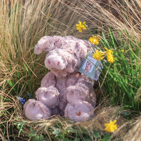 Wrendale 19cm 'Vanessa Junior' Pig Character Plush