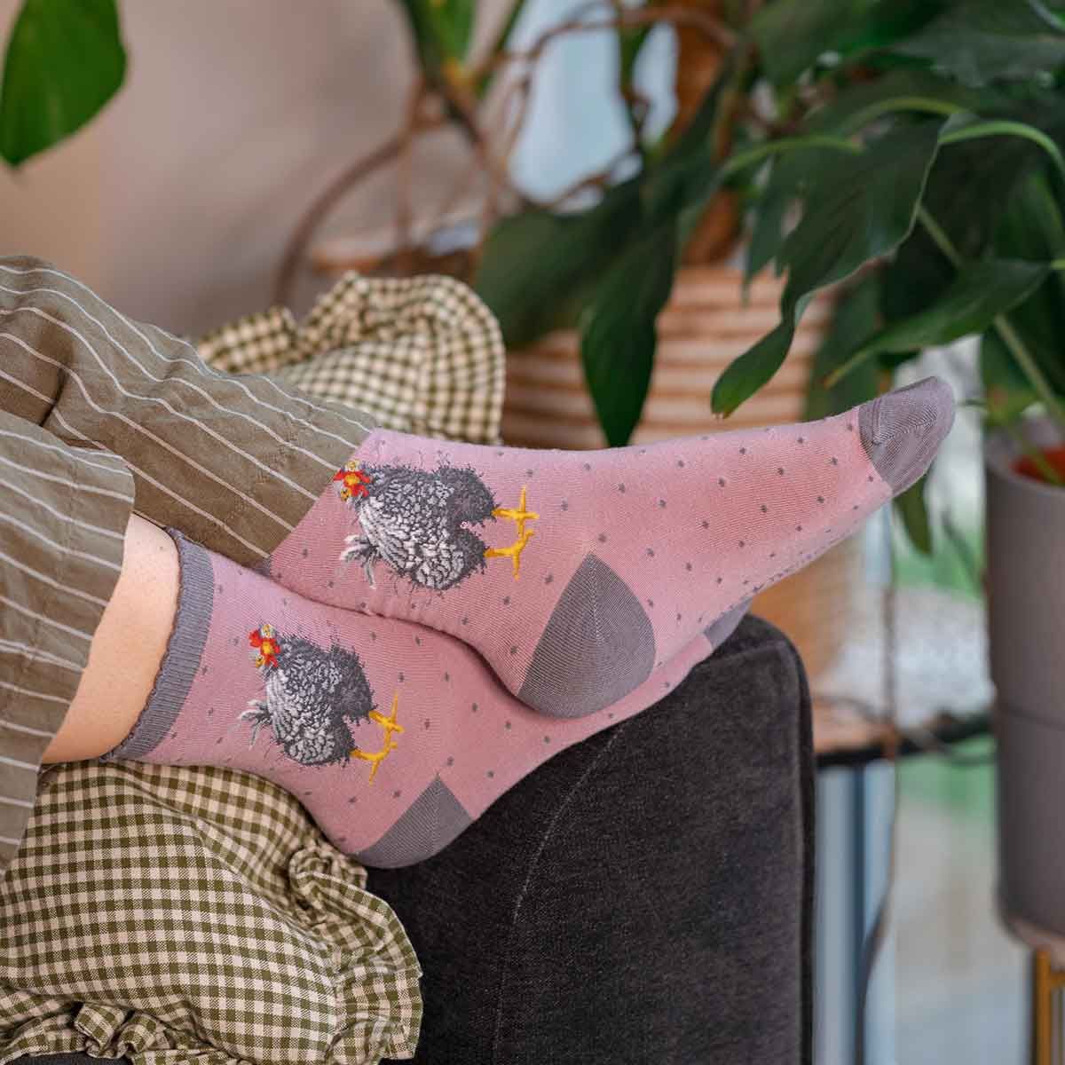 Wrendale 4-7 'Curious Hen' Chicken Socks
