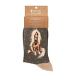 Wrendale 4-7 'Gloria' Horse Socks - Old Railway Line Garden Centre