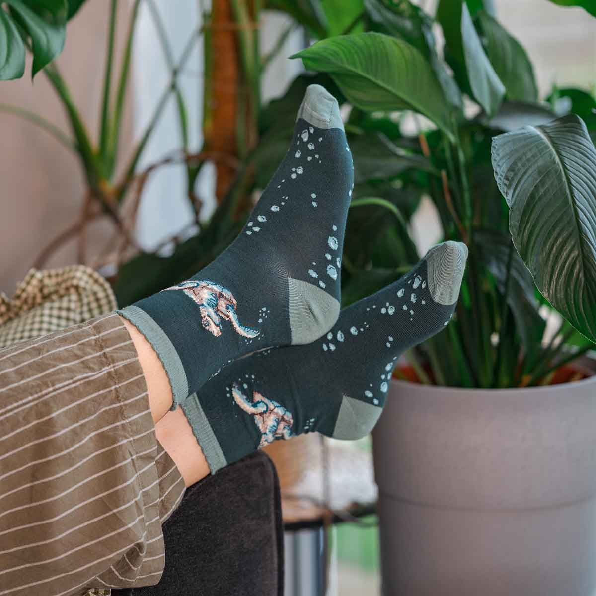 Wrendale 4-7 'Swimming School' Turtle Socks