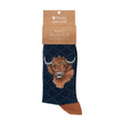 Wrendale 7-11 'Highland Heathers' Highland Cow Men's Socks - Old Railway Line Garden Centre