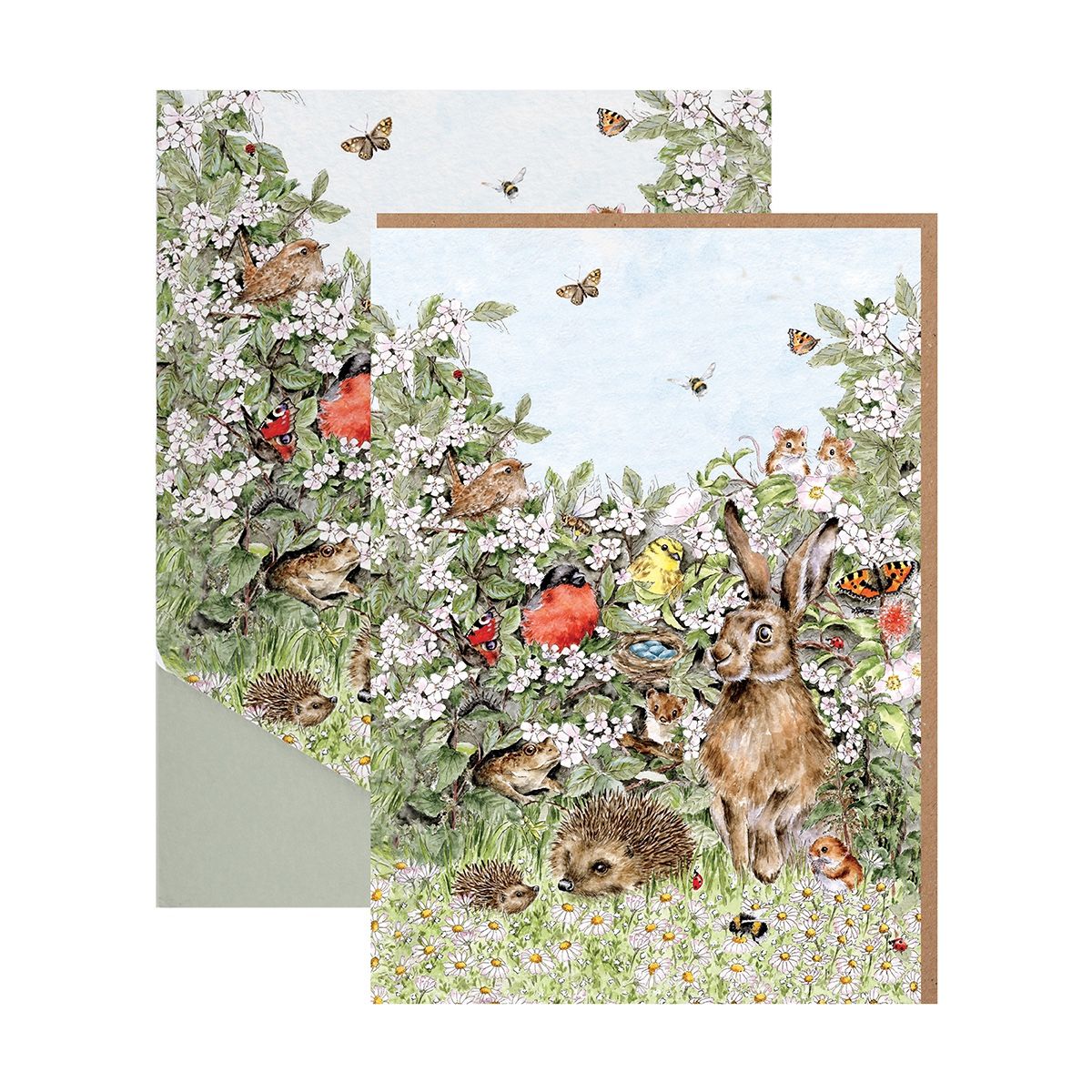 Wrendale 'Hidden in the Hedgerow' Nature Notecard Pack