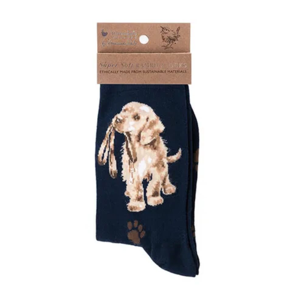 Wrendale 'Hopeful' Blue Labrador Socks