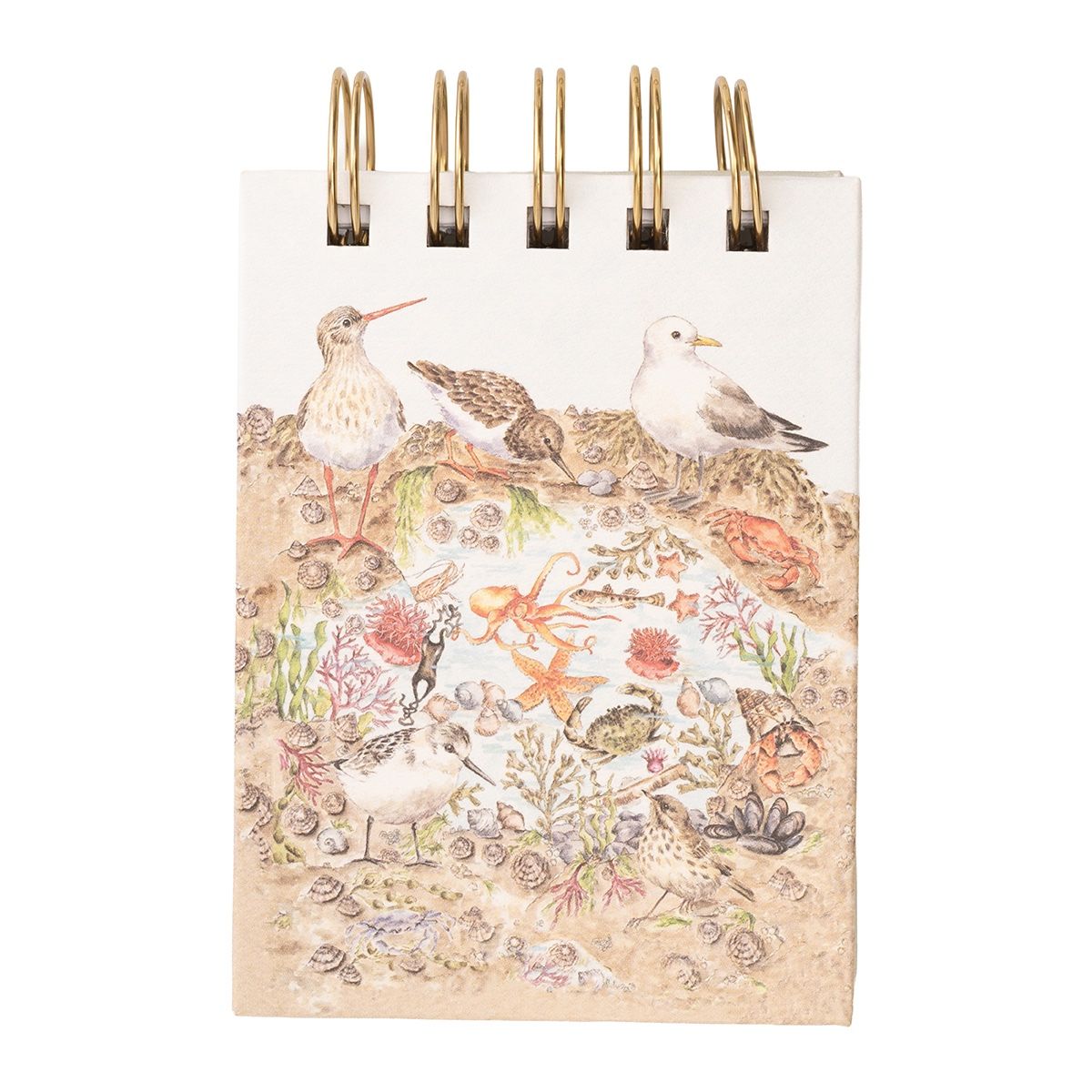 Wrendale 'Secrets of the Sea' Nature Field Notebook - Old Railway Line Garden Centre