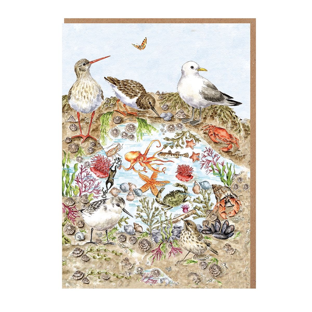 Wrendale 'Secrets of the Sea' Nature Notecard Pack - Old Railway Line Garden Centre