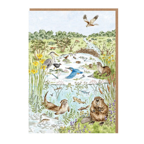 Wrendale 'The Riverbank' Nature Notecard Pack