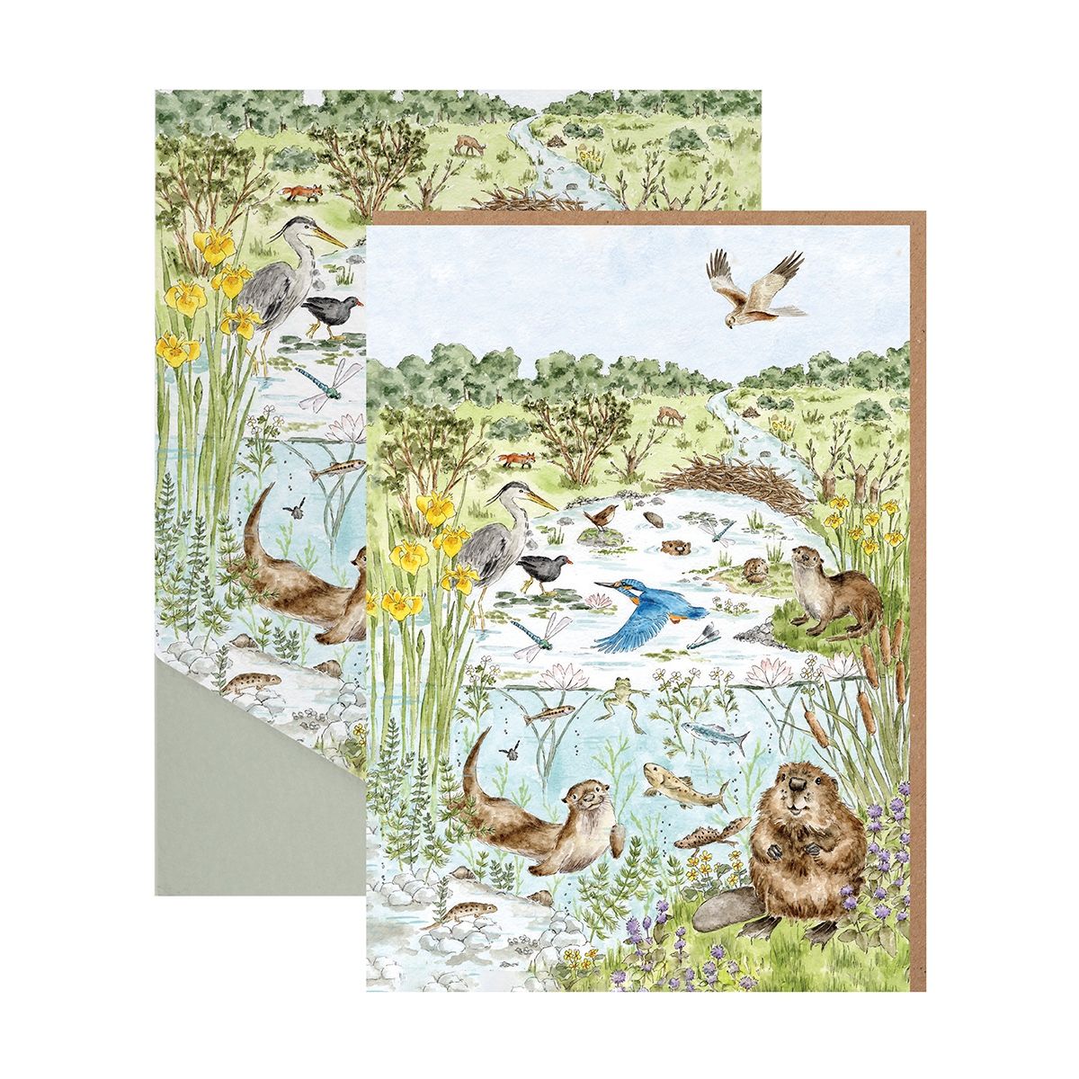 Wrendale 'The Riverbank' Nature Notecard Pack