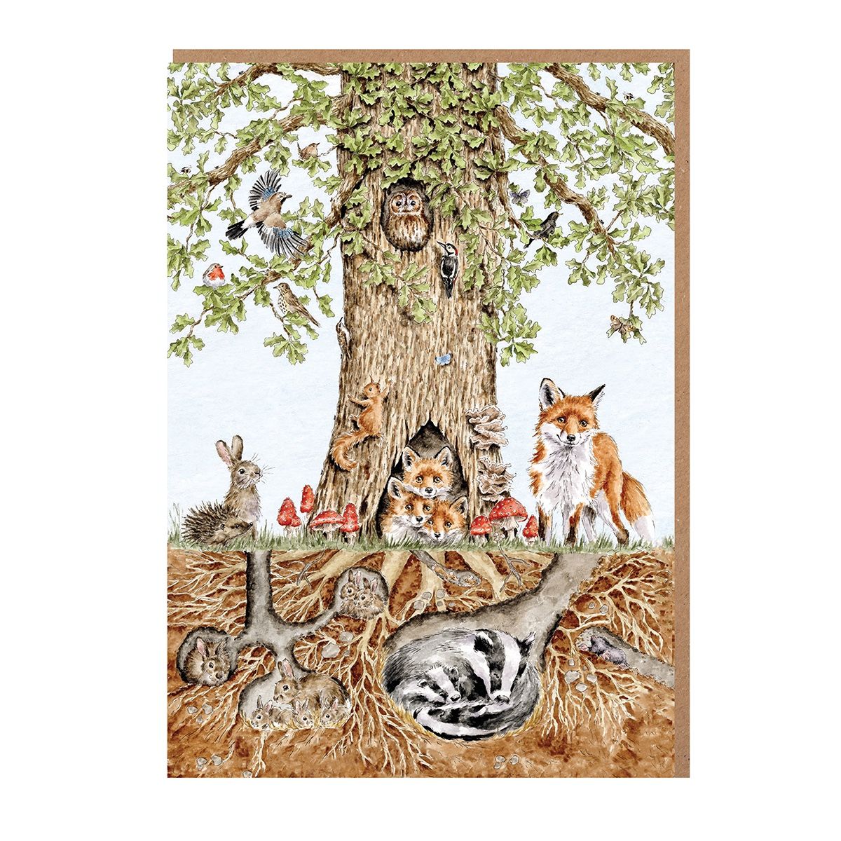 Wrendale 'Wild Woodland' Nature Notecard Pack