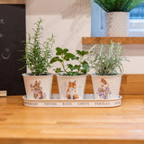 Wrendale 'Woodland' Set of 3 Herb Pots with Tray
