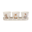 Wrendale 'Woodland' Set of 3 Herb Pots with Tray - Old Railway Line Garden Centre