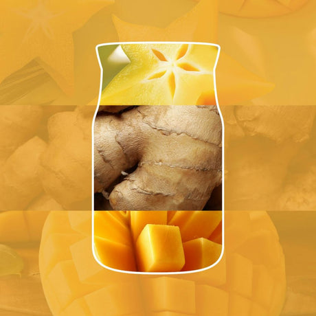 Yankee Candle 368g Starfruit & Sunshine Candle