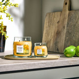 Yankee Candle 368g Starfruit & Sunshine Candle