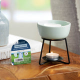Yankee Candle Clean Cotton Single Wax Melt - Old Railway Line Garden Centre