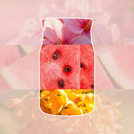 Yankee Candle Pink Sands Car Jar Air Freshener