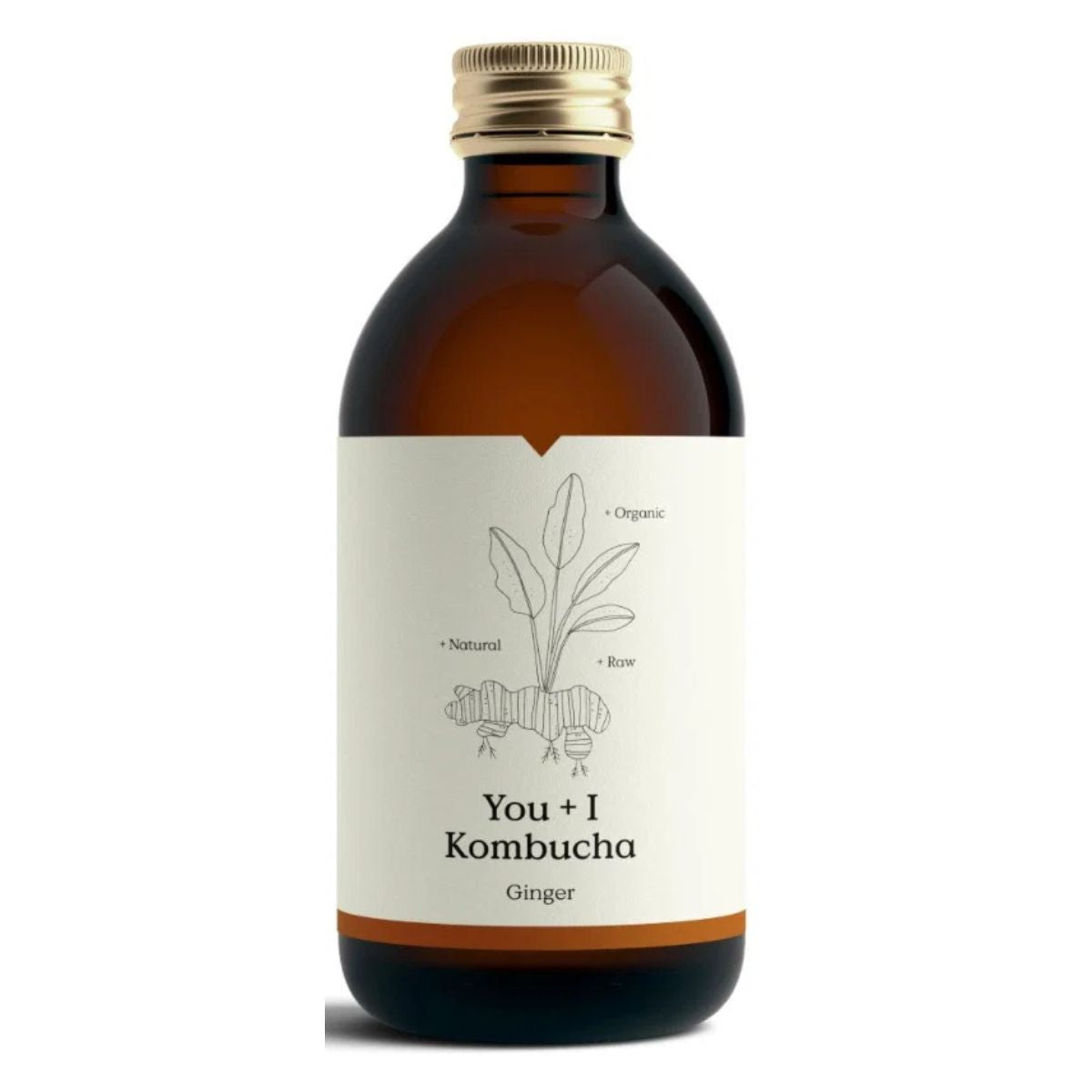 You + I 330ml Kombucha Ginger