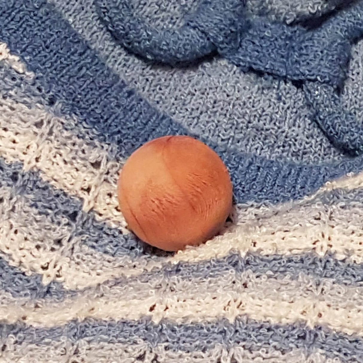 Zero In Cedarwood Moth Repellent Ball (20 Pack) - Old Railway Line Garden Centre