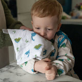 Ziggle Baby Blues Washcloths - Old Railway Line Garden Centre